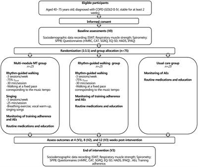 Efficacy and safety of a music-therapy facilitated pulmonary telerehabilitation program in COPD patients: the COPDMELODY study protocol